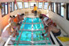 Picture of Hurghada Glass Boat Tour