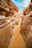 Picture of Colored Canyon Desert Safari Tours Dahab