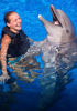 Picture of Dolphin Show Tours in Dahab