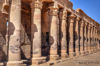 Picture of East And West Bank Luxor Tour