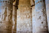 Picture of Tour to Edfu And Kom ombo from Luxor