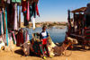 Picture of Aswan Boat trip to Soheil Island