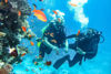 Picture of Intro Diving in Sharm El Sheikh Tours