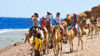 Picture of Dahab Safari and Blue Hole Snorkeling Tours