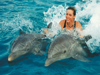 Picture of Swim with the dolphins in Sharm El Sheikh