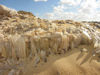 Picture of Bahariya Oasis, White and Black Desert Tours from Cairo