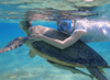 Picture of Hamata Snorkeling Tours in Marsa Alam