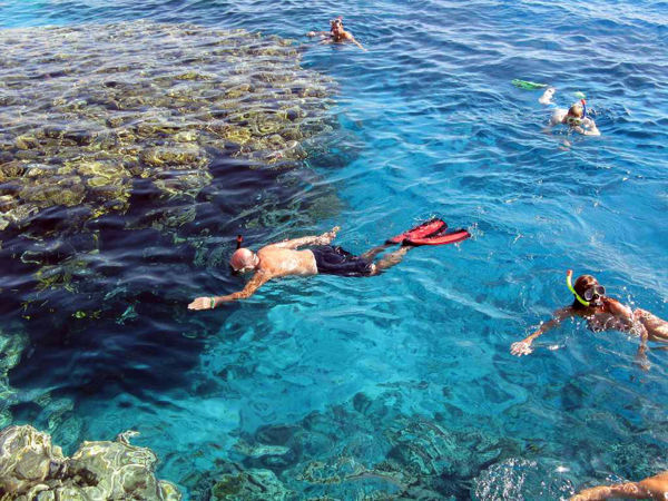 Picture of Porto Ghalib Snorkeling Tours in Marsa Alam