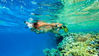 Picture of Porto Ghalib Snorkeling Tours in Marsa Alam