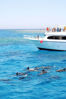 Picture of Islamic Tour Of Egypt and Taba