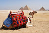 Picture of Giza Pyramids and Pharaonic Village Tours