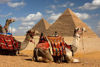 Picture of Day Tour to Pyramids of Giza, Sakkara and Memphis City